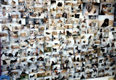 Galerie zufriedener Kunden